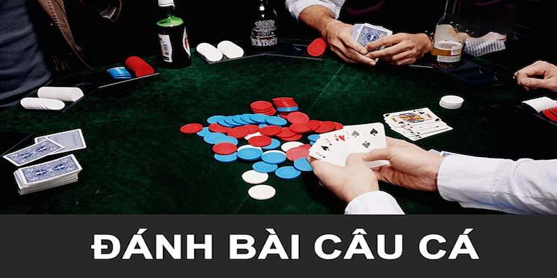 Hướng dẫn trình tự tham gia ván bài tiêu chuẩn cho tân thủ