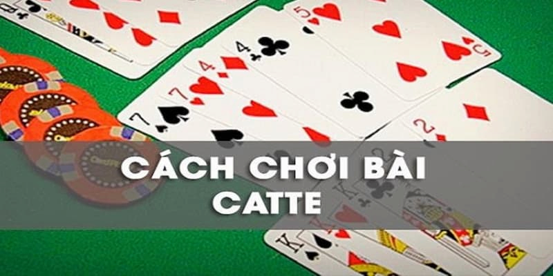 Nắm rõ luật chơi giúp khách hàng tăng tỷ lệ thắng catte nếu chơi