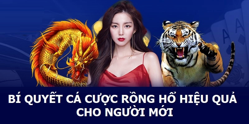 Chơi game Rồng Hổ được nhiều bet thủ yêu thích tham gia