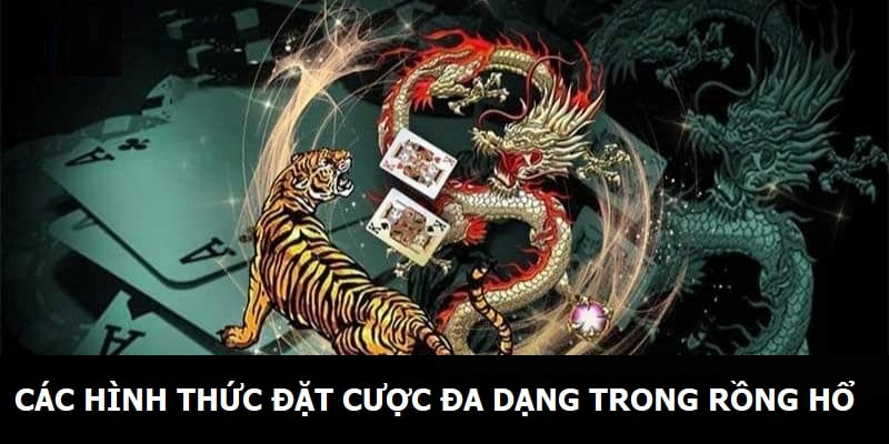 Tận dụng khuyến mãi trong từng ván game Rồng Hổ